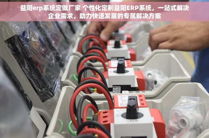 益阳erp系统定做厂家 个性化定制益阳ERP系统，一站式解决企业需求，助力快速发展的专属解决方案