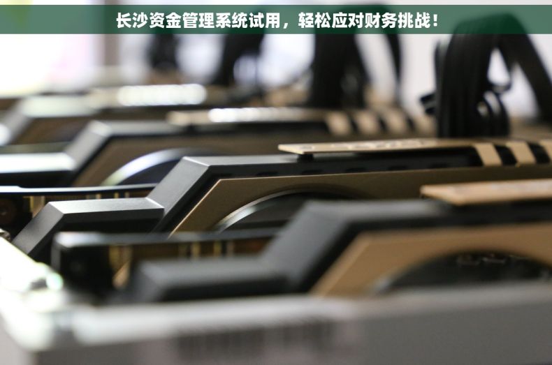 长沙资金管理系统试用，轻松应对财务挑战！