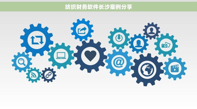 纺织财务软件长沙案例分享