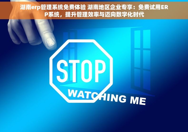 湖南erp管理系统免费体验 湖南地区企业专享：免费试用ERP系统，提升管理效率与迈向数字化时代