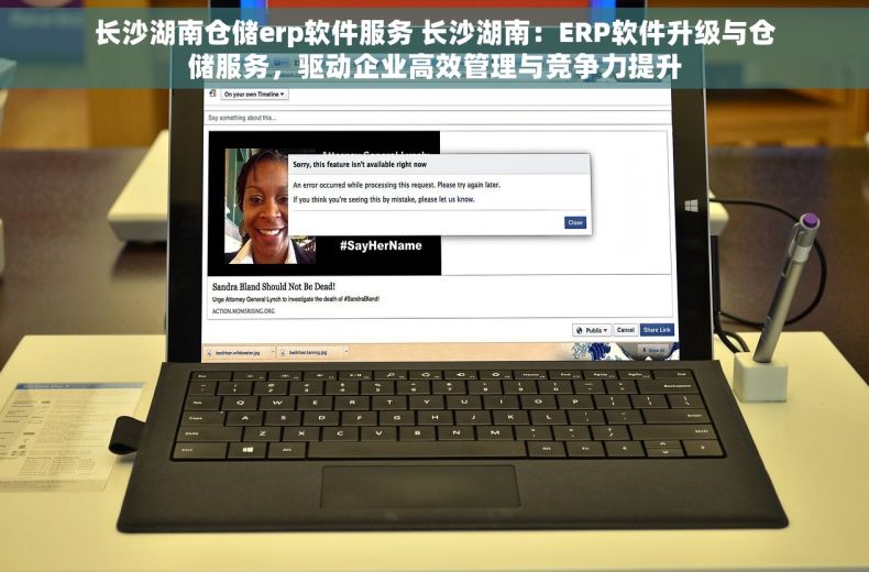 长沙湖南仓储erp软件服务 长沙湖南：ERP软件升级与仓储服务，驱动企业高效管理与竞争力提升