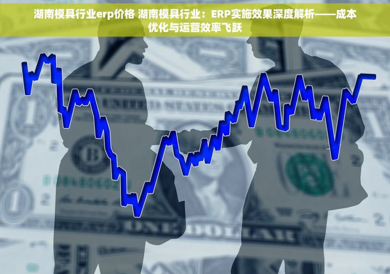 湖南模具行业erp价格 湖南模具行业：ERP实施效果深度解析——成本优化与运营效率飞跃