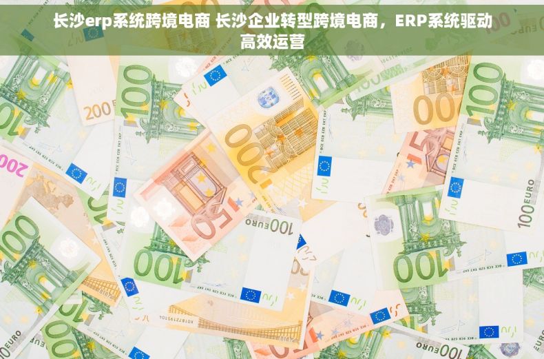 长沙erp系统跨境电商 长沙企业转型跨境电商，ERP系统驱动高效运营