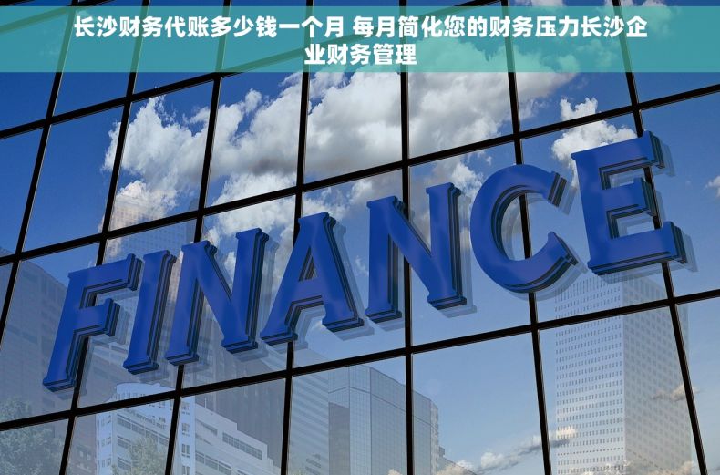 长沙财务代账多少钱一个月 每月简化您的财务压力长沙企业财务管理