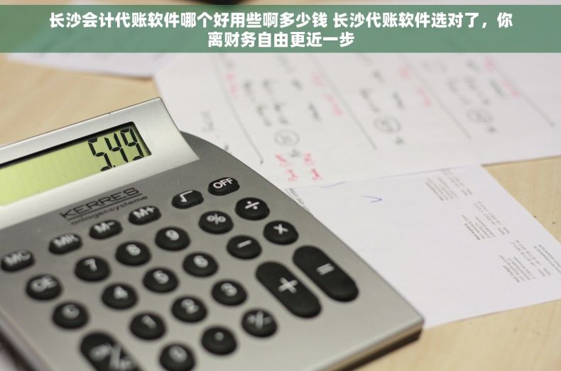 长沙会计代账软件哪个好用些啊多少钱 长沙代账软件选对了，你离财务自由更近一步