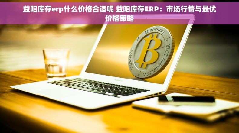 益阳库存erp什么价格合适呢 益阳库存ERP：市场行情与最优价格策略