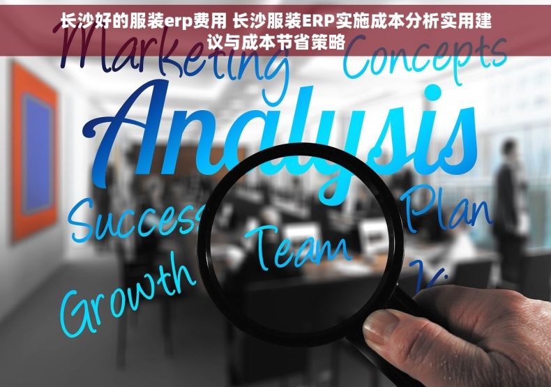 长沙好的服装erp费用 长沙服装ERP实施成本分析实用建议与成本节省策略