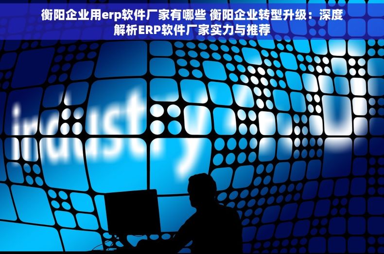 衡阳企业用erp软件厂家有哪些 衡阳企业转型升级：深度解析ERP软件厂家实力与推荐