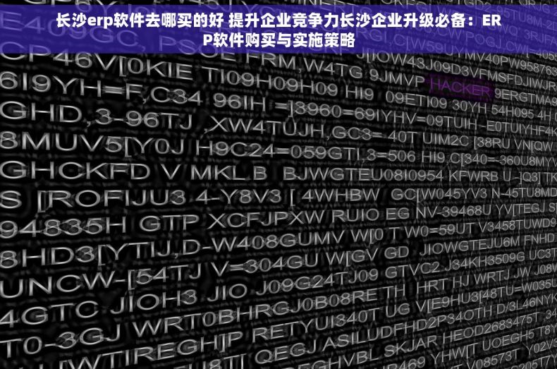 长沙erp软件去哪买的好 提升企业竞争力长沙企业升级必备：ERP软件购买与实施策略