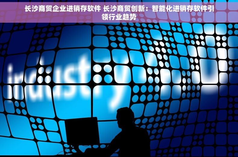 长沙商贸企业进销存软件 长沙商贸创新：智能化进销存软件引领行业趋势