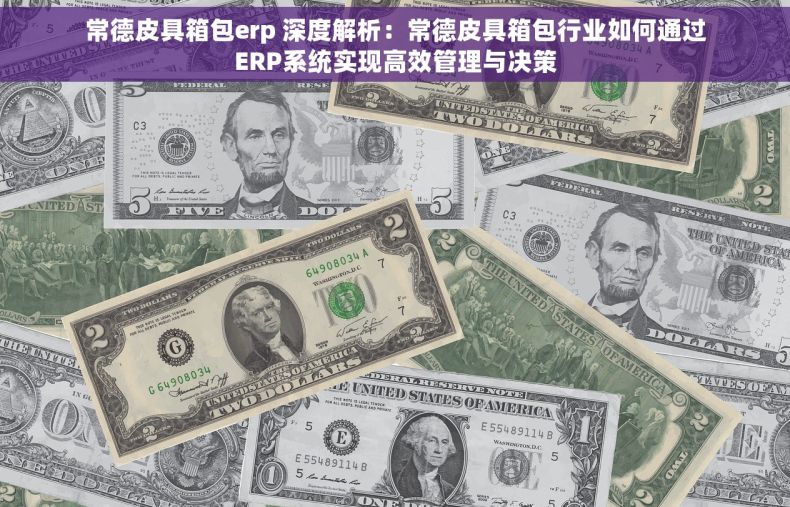 常德皮具箱包erp 深度解析：常德皮具箱包行业如何通过ERP系统实现高效管理与决策