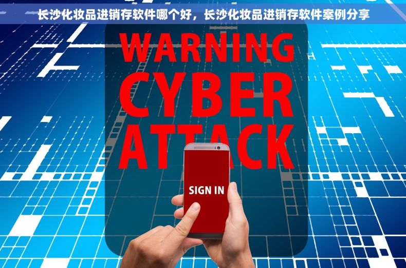 长沙化妆品进销存软件哪个好，长沙化妆品进销存软件案例分享