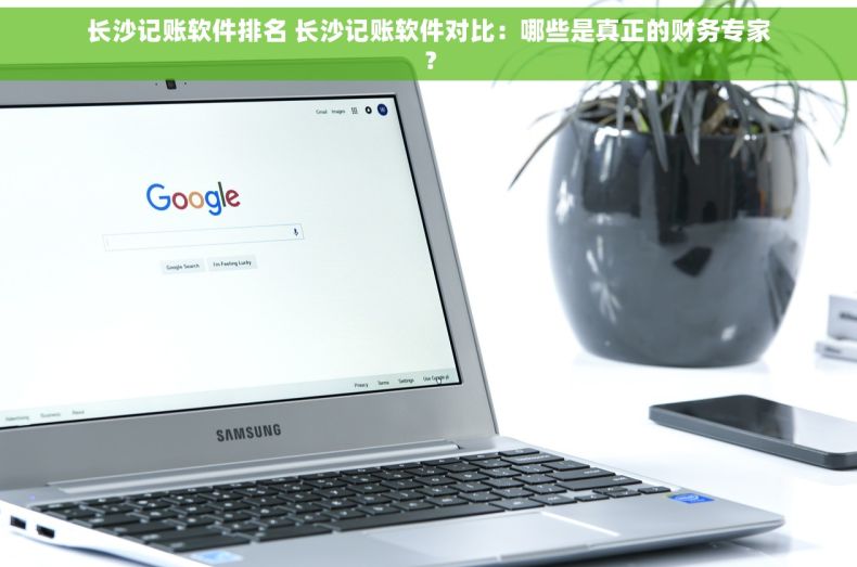 长沙记账软件排名 长沙记账软件对比：哪些是真正的财务专家？