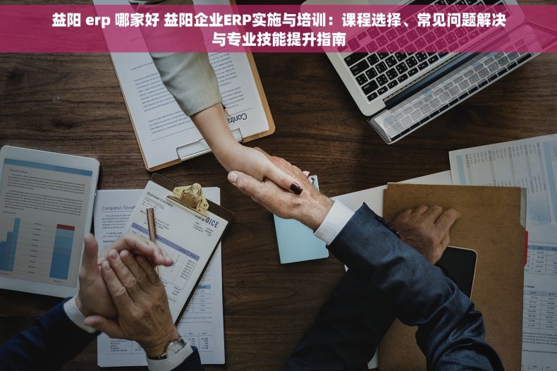 益阳 erp 哪家好 益阳企业ERP实施与培训：课程选择、常见问题解决与专业技能提升指南