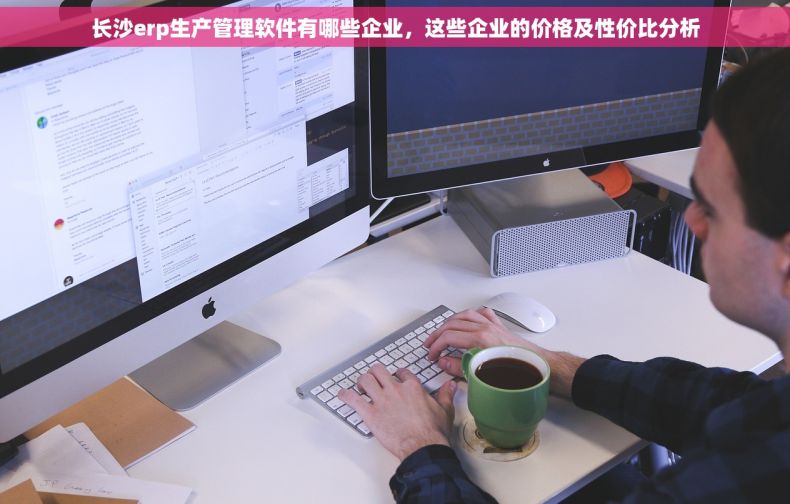 长沙erp生产管理软件有哪些企业，这些企业的价格及性价比分析