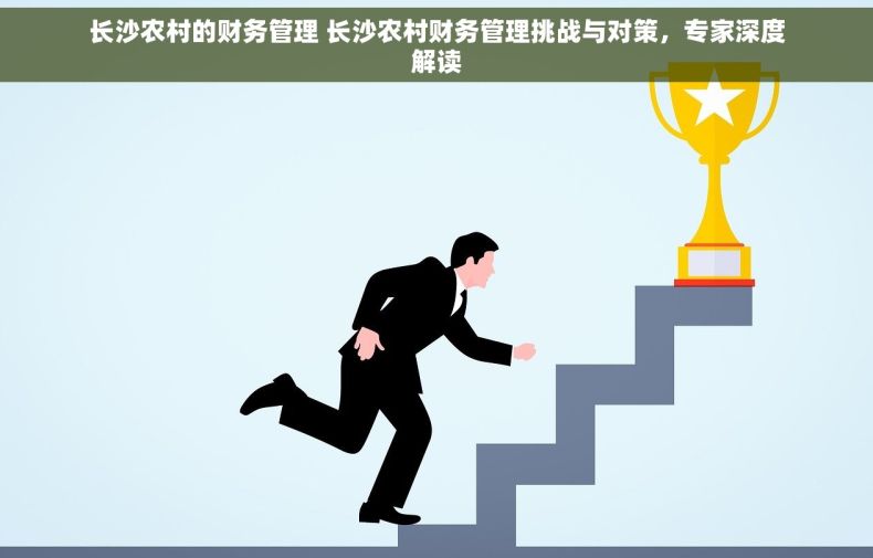 长沙农村的财务管理 长沙农村财务管理挑战与对策，专家深度解读