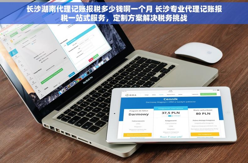 长沙湖南代理记账报税多少钱啊一个月 长沙专业代理记账报税一站式服务，定制方案解决税务挑战