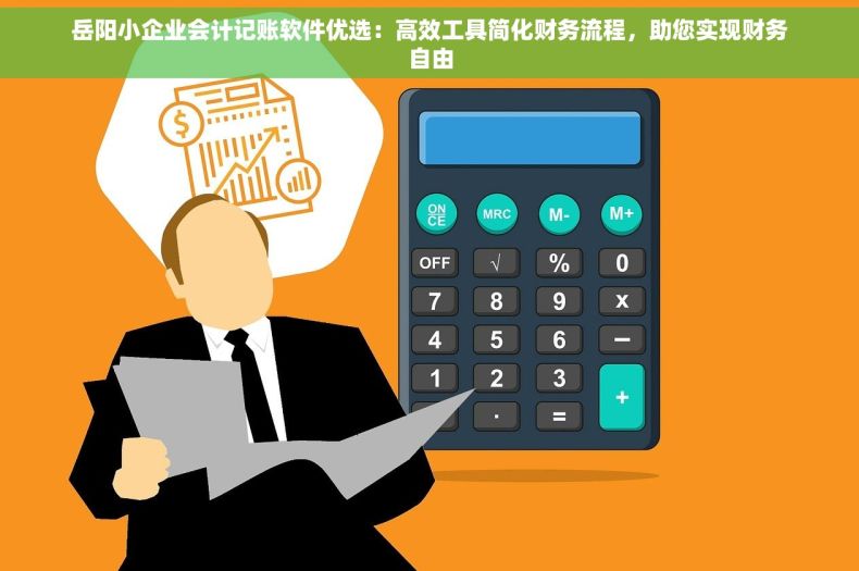 岳阳小企业会计记账软件优选：高效工具简化财务流程，助您实现财务自由