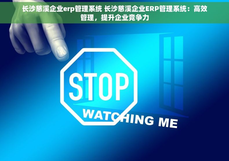长沙慈溪企业erp管理系统 长沙慈溪企业ERP管理系统：高效管理，提升企业竞争力