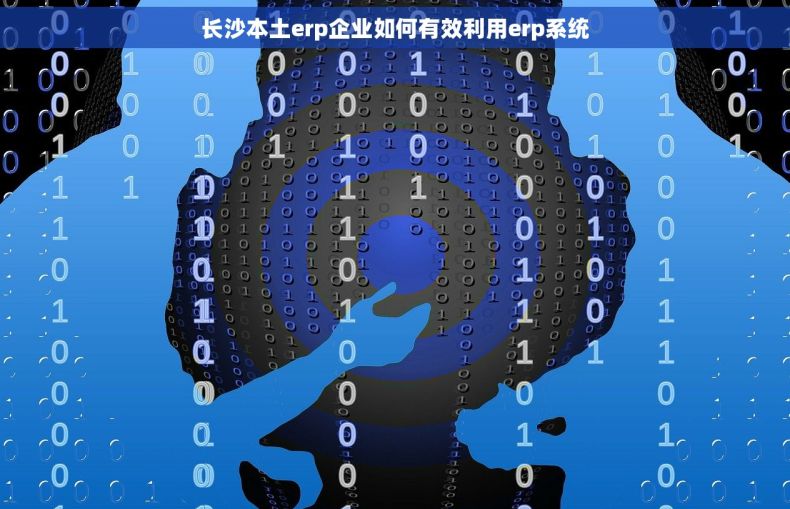 长沙本土erp企业如何有效利用erp系统