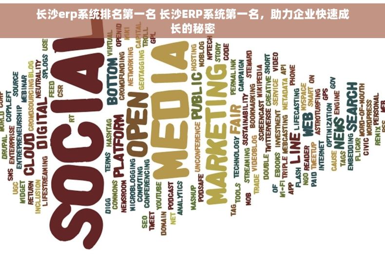 长沙erp系统排名第一名 长沙ERP系统第一名，助力企业快速成长的秘密