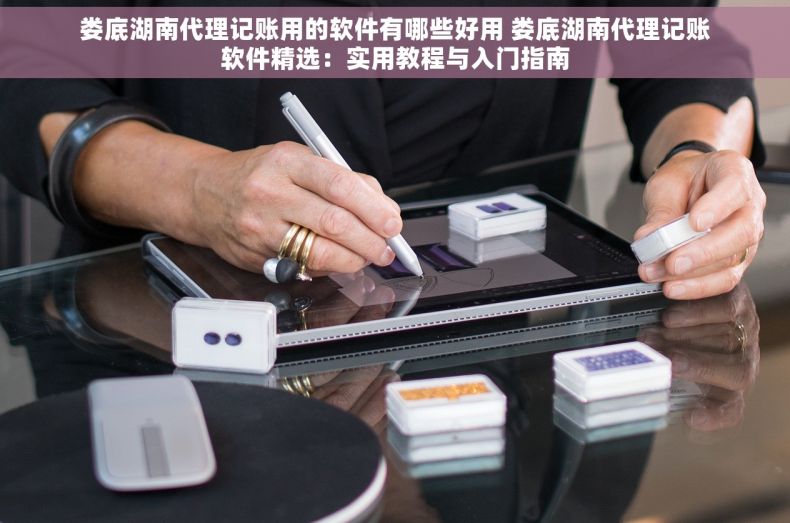 娄底湖南代理记账用的软件有哪些好用 娄底湖南代理记账软件精选：实用教程与入门指南