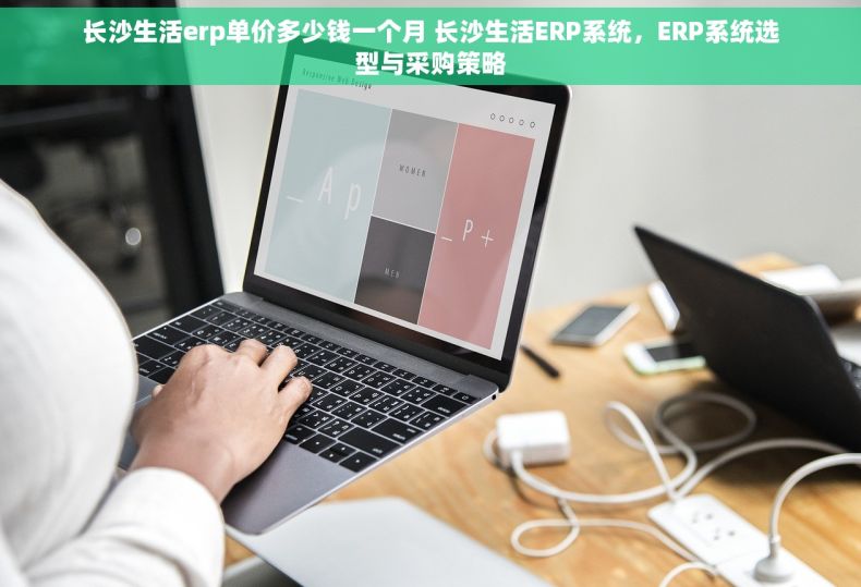 长沙生活erp单价多少钱一个月 长沙生活ERP系统，ERP系统选型与采购策略