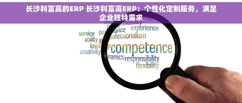 长沙利富高的ERP 长沙利富高ERP：个性化定制服务，满足企业独特需求