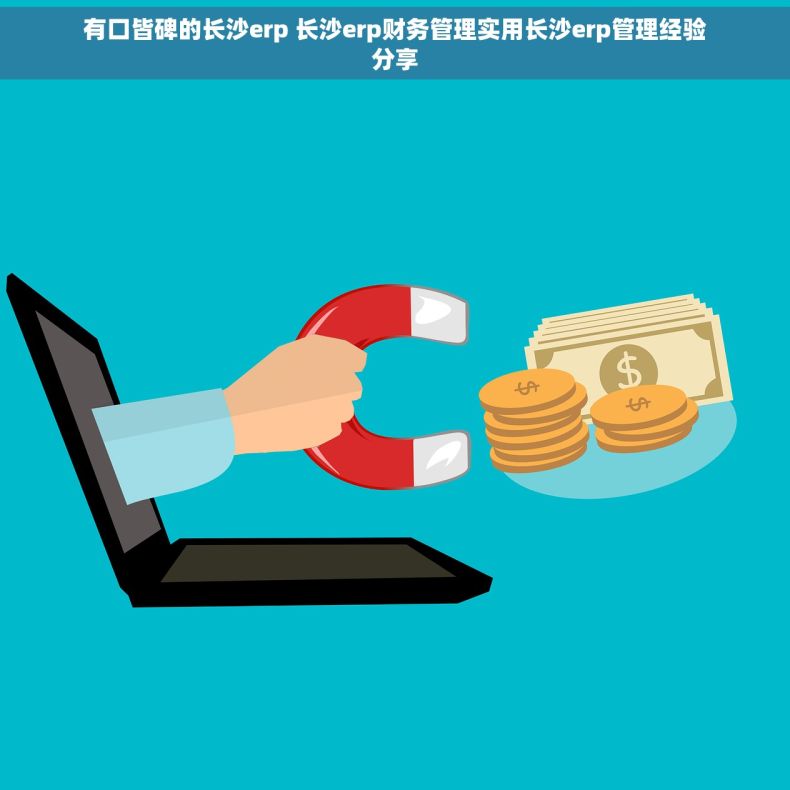 有口皆碑的长沙erp 长沙erp财务管理实用长沙erp管理经验分享