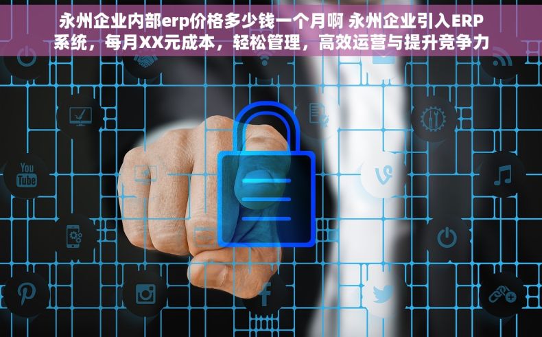 永州企业内部erp价格多少钱一个月啊 永州企业引入ERP系统，每月XX元成本，轻松管理，高效运营与提升竞争力