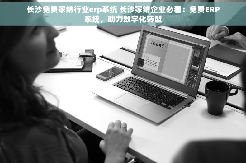 长沙免费家纺行业erp系统 长沙家纺企业必看：免费ERP系统，助力数字化转型