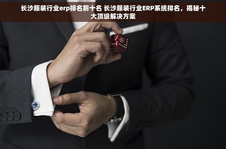 长沙服装行业erp排名前十名 长沙服装行业ERP系统排名，揭秘十大顶级解决方案