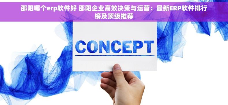 邵阳哪个erp软件好 邵阳企业高效决策与运营：最新ERP软件排行榜及顶级推荐