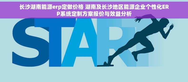 长沙湖南能源erp定做价格 湖南及长沙地区能源企业个性化ERP系统定制方案报价与效益分析