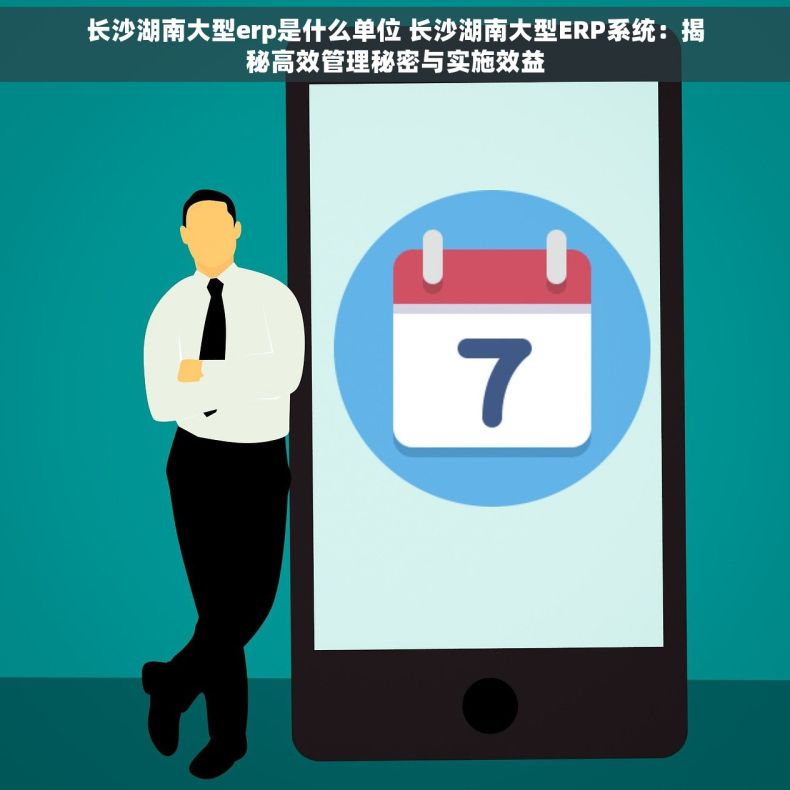 长沙湖南大型erp是什么单位 长沙湖南大型ERP系统：揭秘高效管理秘密与实施效益