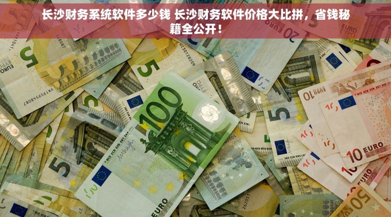 长沙财务系统软件多少钱 长沙财务软件价格大比拼，省钱秘籍全公开！
