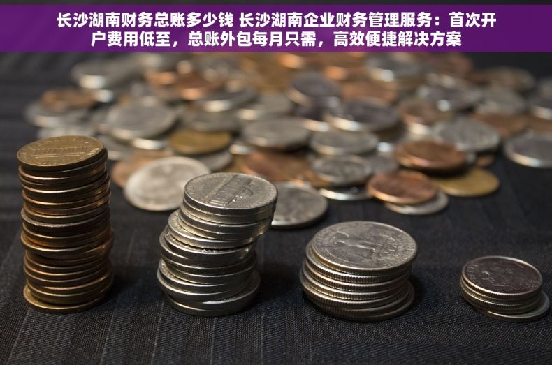 长沙湖南财务总账多少钱 长沙湖南企业财务管理服务：首次开户费用低至，总账外包每月只需，高效便捷解决方案