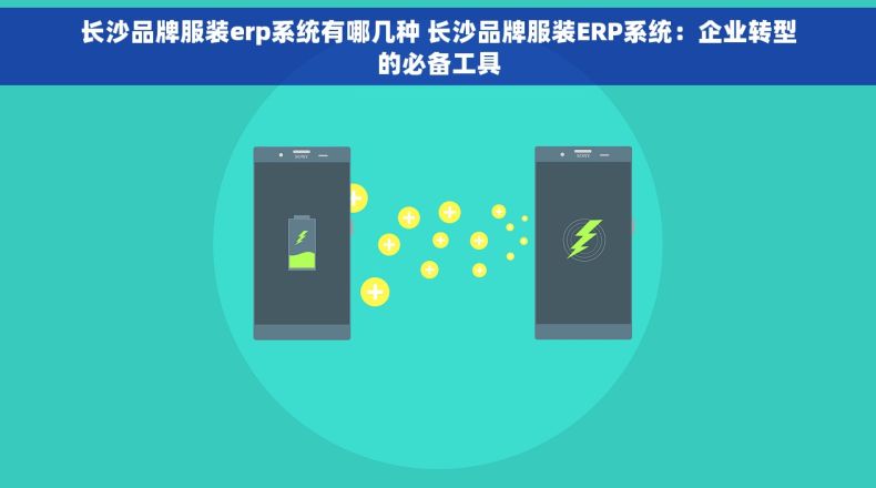 长沙品牌服装erp系统有哪几种 长沙品牌服装ERP系统：企业转型的必备工具