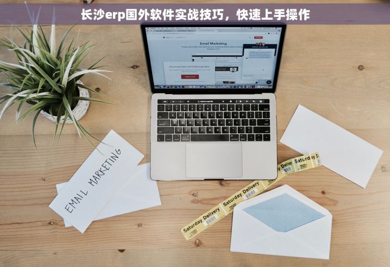 长沙erp国外软件实战技巧，快速上手操作