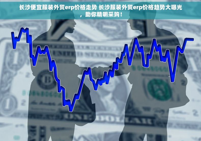 长沙便宜服装外贸erp价格走势 长沙服装外贸erp价格趋势大曝光，助你精明采购！