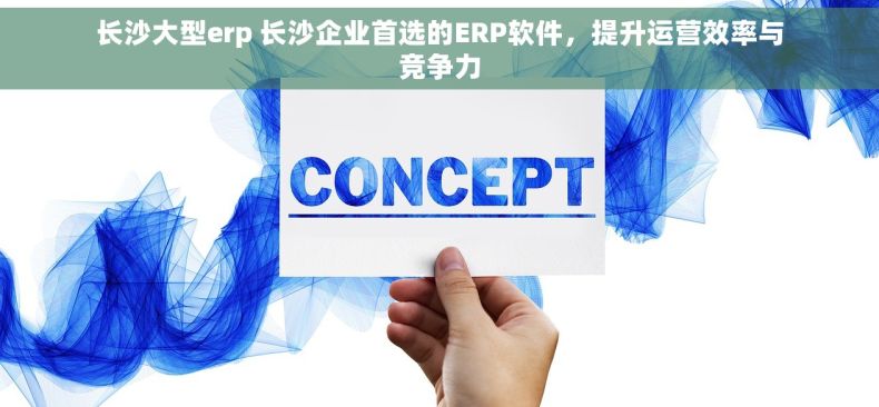 长沙大型erp 长沙企业首选的ERP软件，提升运营效率与竞争力