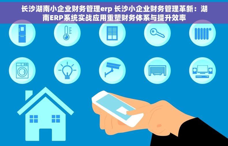 长沙湖南小企业财务管理erp 长沙小企业财务管理革新：湖南ERP系统实战应用重塑财务体系与提升效率