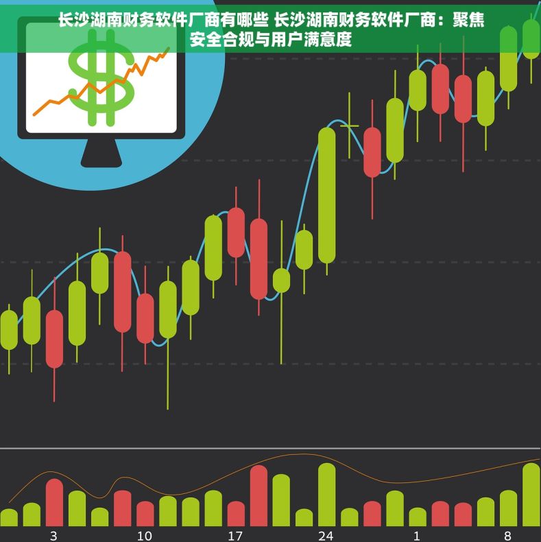 长沙湖南财务软件厂商有哪些 长沙湖南财务软件厂商：聚焦安全合规与用户满意度
