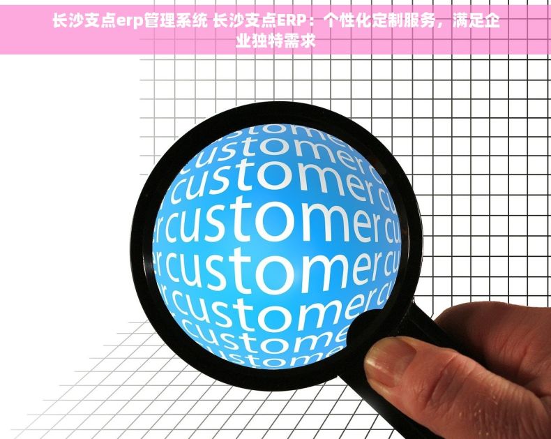 长沙支点erp管理系统 长沙支点ERP：个性化定制服务，满足企业独特需求