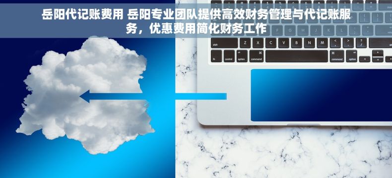 岳阳代记账费用 岳阳专业团队提供高效财务管理与代记账服务，优惠费用简化财务工作