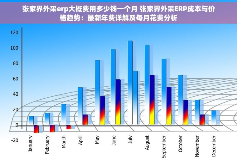 张家界外采erp大概费用多少钱一个月 张家界外采ERP成本与价格趋势：最新年费详解及每月花费分析