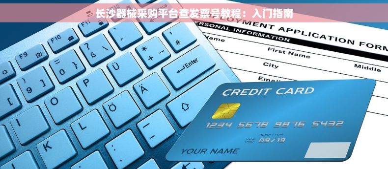 长沙器械采购平台查发票号教程：入门指南