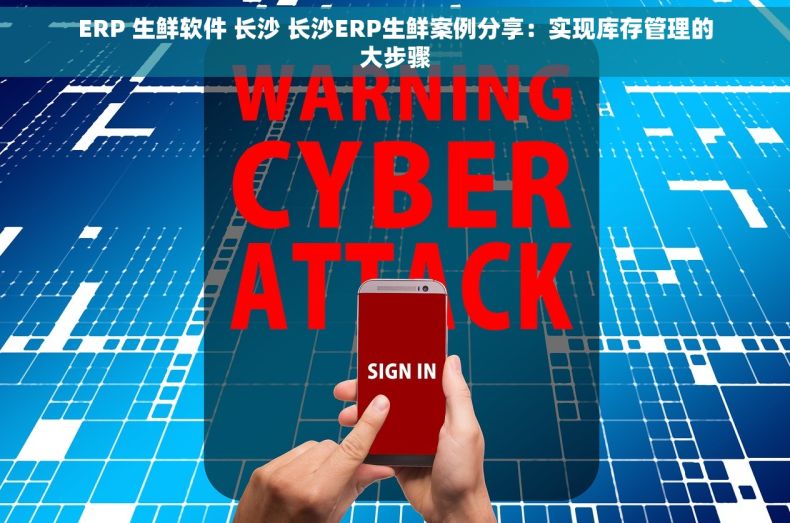 ERP 生鲜软件 长沙 长沙ERP生鲜案例分享：实现库存管理的大步骤