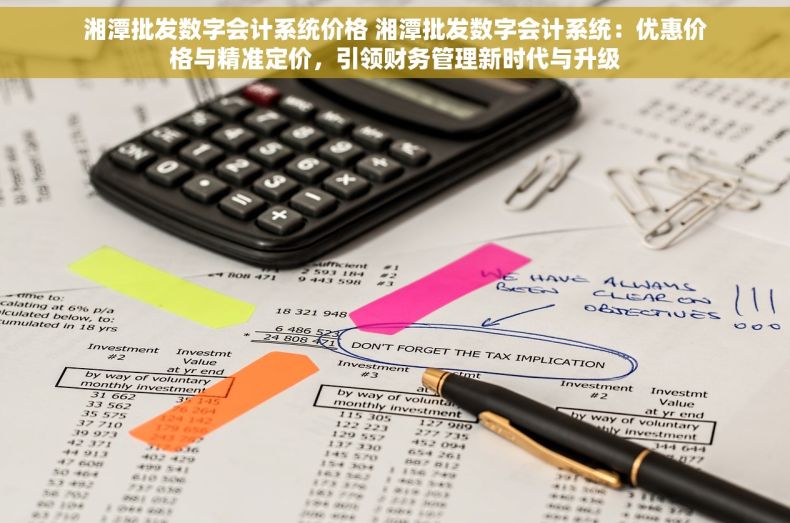 湘潭批发数字会计系统价格 湘潭批发数字会计系统：优惠价格与精准定价，引领财务管理新时代与升级