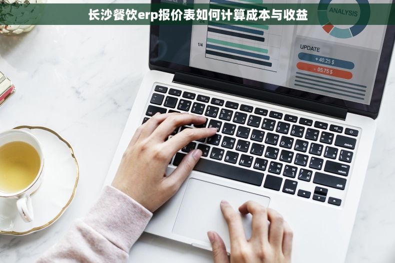长沙餐饮erp报价表如何计算成本与收益